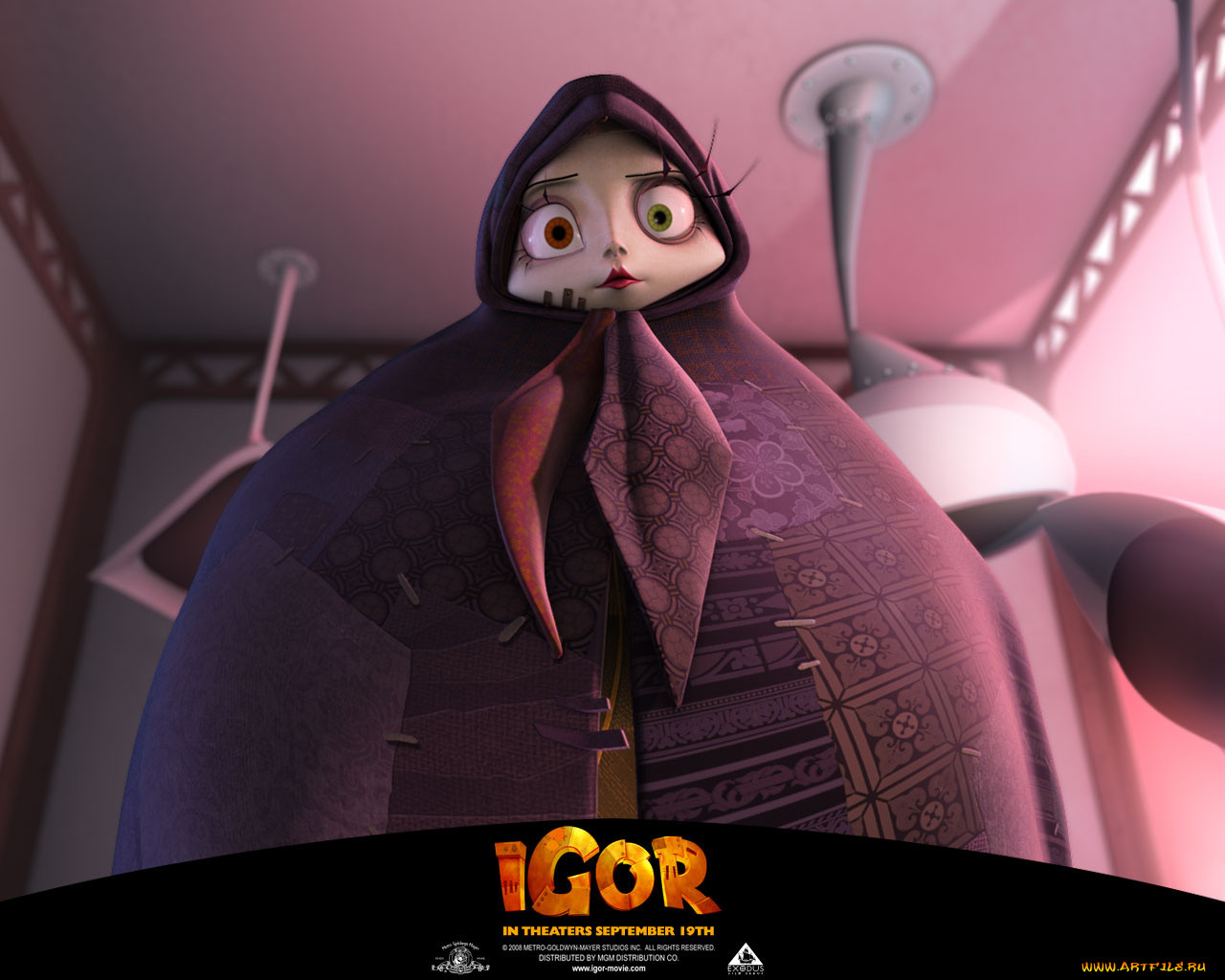 , igor